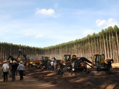 A preocupação com a segurança e a ergonomia dos operadores de máquinas florestais ou ferramentas de corte é fundamental - Créditos Luize Hess