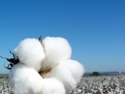 Foto-02-Crédito-Saulo-Alves