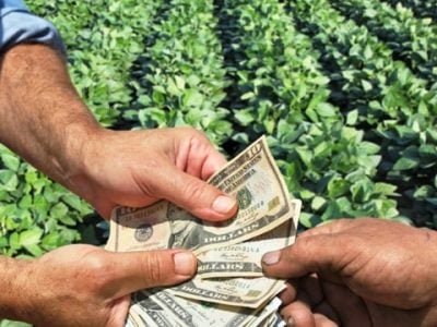 No mundo do agronegócio, tempo é dinheiro - Créditos Shutterstock