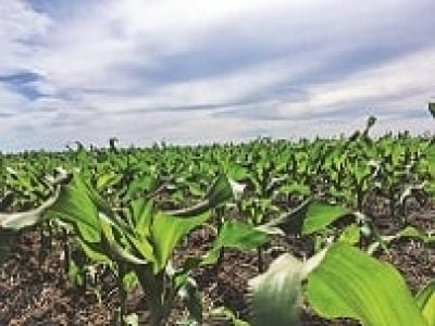 O drone utilizado pela 14 PIX possui tecnologia de aplicação em vórtice