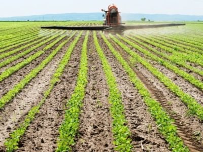 Foto-02-O-manejo-de-aplicação-influi-no-sucesso-da-operação-Créditos-Shutterstock-624x416