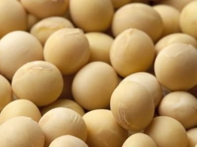 O potássio é um dos nutrientes mais absorvidos pela soja - Fotos Shutterstock