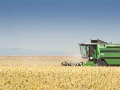 O resultado da agricultura de precisão, geralmente é o aumento de produtividade - Créditos Shutterstock