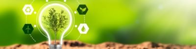 Environmental,Protection,,Renewable,,Sustainable,Energy,Sources.,Plant,Growing,In,The