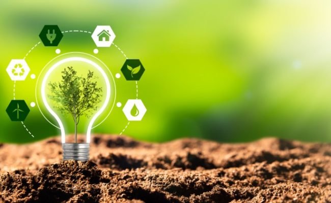 Environmental,Protection,,Renewable,,Sustainable,Energy,Sources.,Plant,Growing,In,The