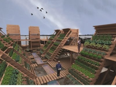 Projeto-de-aquaponia-incluindo-hortaliças-e-peixes-Crédito-Internet.j