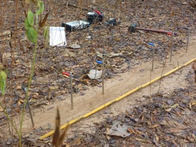 Foto-02-Rabelis-extendido-â-Créditos-Embrapa-Solos Foto-02-Rabelis-extendido-â-Créditos-Embrapa-Solos