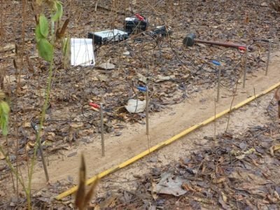 Foto-02-Rabelis-extendido-â-Créditos-Embrapa-Solos