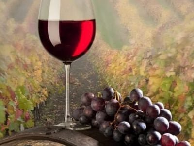 São Paulo e Minas Gerais têm investido na produção de uvas para vinhos finos de qualidade diferenciada - CréditosShutterstock