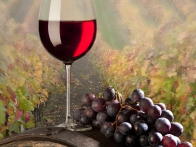 São Paulo e Minas Gerais têm investido na produção de uvas para vinhos finos de qualidade diferenciada - CréditosShutterstock