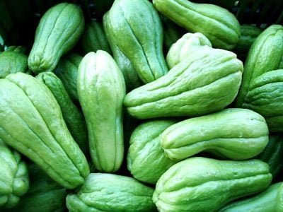 Chuchu - Crédito: arquivo