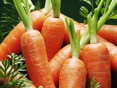 A cenoura está entre as hortaliças mais atacadas pelos nematoides - Crédito Shutterstock