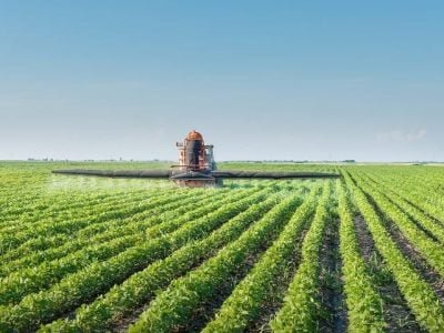 A deficiência na aferição dos pulverizadores traz sérios problemas aos produtores - Créditos Shutterstock