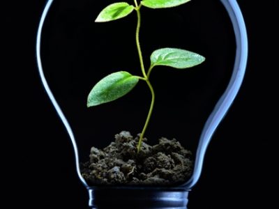 Crédito Shutterstock