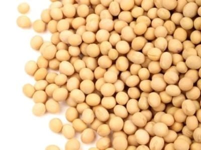 Semente de soja de qualidade é o primeiro passo - Crédito Shutterstock