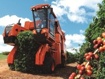 Foto-03-Uma-máquina-pode-substituir-o-trabalho-de-até-80-homens-Crédito-Jacto