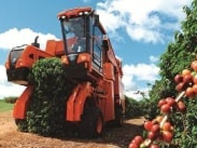 Foto-03-Uma-máquina-pode-substituir-o-trabalho-de-até-80-homens-Crédito-Jacto