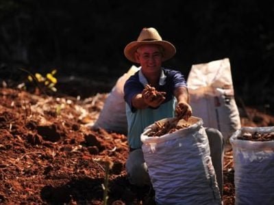 Os produtores da Cooperaçafrão se uniram para agregar valor ao seu produto - Crédito Cooperaçafrão