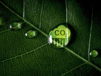 CO2 reducing icon on green leaf with water droplet for decrease CO2 , carbon footprint and carbon credit to limit global warming from climate change, Bio Circular Green Economy concept.