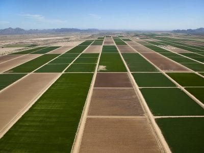 A agricultura digital será capaz de conectar informações para uma agricultura mais precisa e eficiente - Crédito