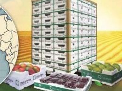 Foto 06 - Kiri Japonês