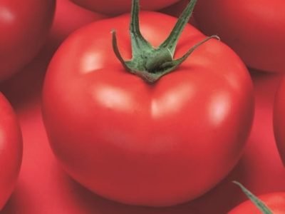 Lançamentos Agristar - Crédito Divulgação