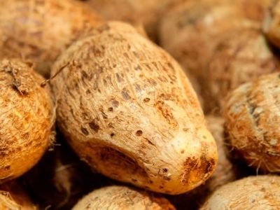 Você sabe cultivar inhame - Crédito Arquivo