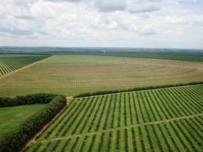 Crédito Ricardo Robles