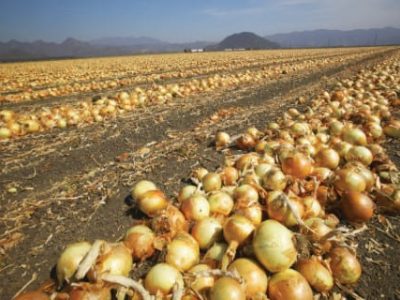 Foto-PG-28-a-29-Foto-01-Telefone