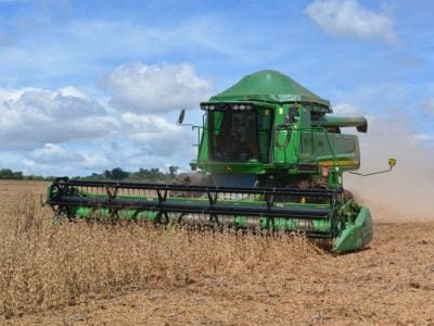 A regulagem da colheitadeira é fator essencial para manter a qualidade do grão - Foto: Divulgação