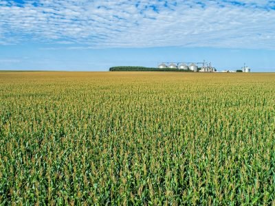 Morgan apresenta novidades no Show Rural Coopavel 2020