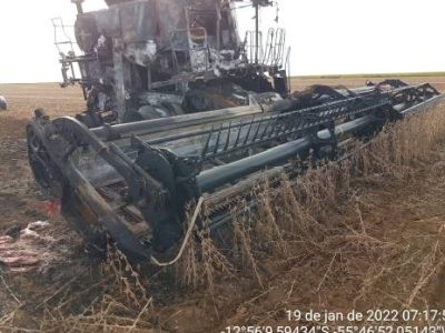 Foto-registrada-durante-visita-pericial-Sinistro-de-Penhor-Rural-Divulgacao-FF-Seguros-1-