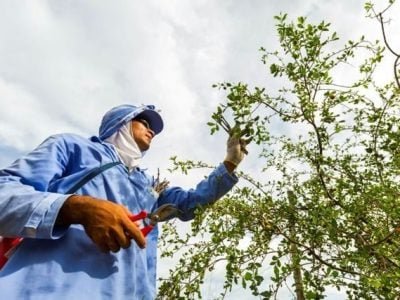 Fotos Amway Nutrilite do Brasil