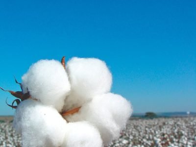 Startup Receituário Agronômico Siagri participa de área de inovação