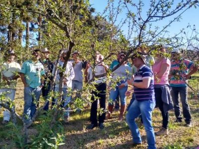 Frutifica Minas - Crédito das fotos Divulgação  Emater-MG