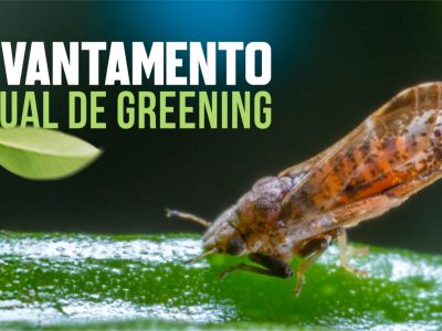 Fundecitrus - Levantamento anual de greening