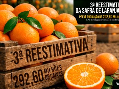 Fundecitrus_3ª reestimativa da safra 2025.26