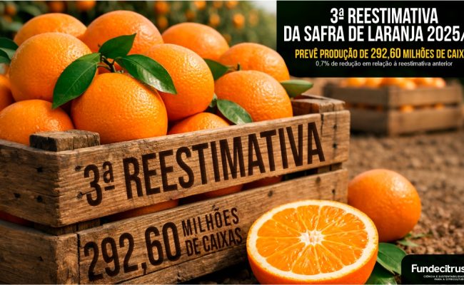 Fundecitrus_3ª reestimativa da safra 2025.26