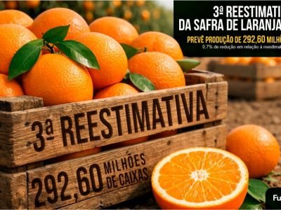 Fundecitrus_3ª reestimativa da safra 2025.26