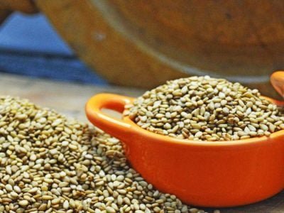 Gergelim -  Crédito Sérgio Cobel