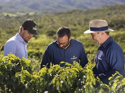 Gestão - Crédito: Fronterra