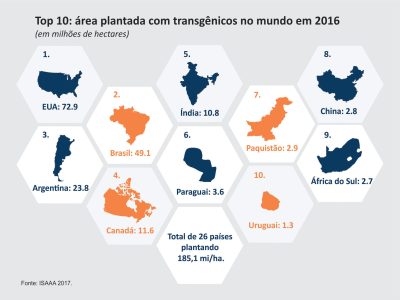 Gráfico 1 - Brasil apresenta crescimento em transgênicos