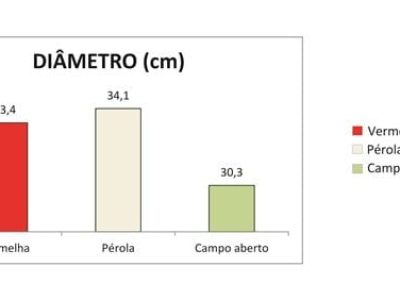 Gráfico 1 Ginegar