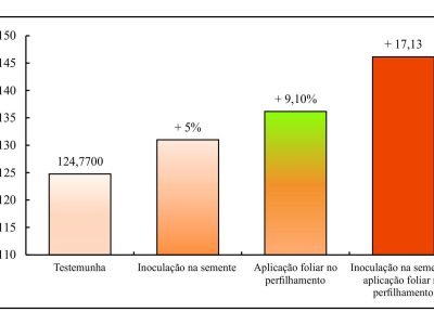 Azospirillum brasiliense traz benefícios também para a soja