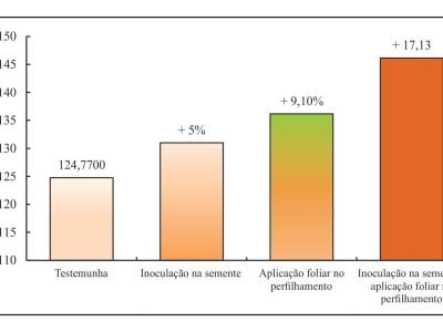Azospirillum brasiliense traz benefícios também para a soja