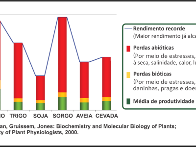 Gráfico produtividade - Terramar