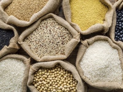Grãos - Foto: Divulgação