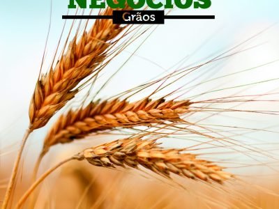 Grãos Fev 2020 p001