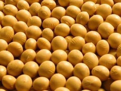 Há várias opções de tratamento para a soja, e os nematicidas estão entre as mais promissoras - Crédito Fernando Gomes