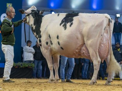 Halley-Ruivinha-Doorman-538-TE-filha-de-Doorman